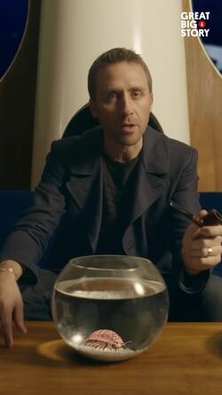 Discovering giants, the deep sea isopod Instructional Video