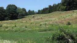 The Impact of Weather on Our Daily Lives Instructional Video