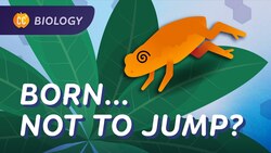 Animal Behavior: Why This Toad Is Bad at Jumping: Crash Course Biology #49 Instructional Video