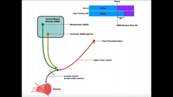 Sleep Paralysis | Basic Epidemiology & Mechanism [@ 5:04] Instructional Video