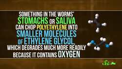 The Toughest, Biggest, and Hottest Science of 2017 Instructional Video