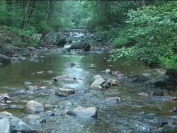 Sustainability and Natural Resources: Introduction Instructional Video