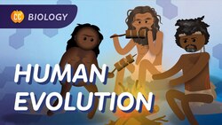 Human Evolution: We Didn't Evolve From Chimps: Crash Course Biology #19 Instructional Video