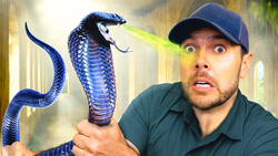 Catching Spitting Cobras in Abandoned Hotel! Instructional Video