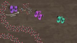 How To Turn Poop Into Power Instructional Video