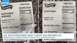 California Mushrooms May Be Contaminated With Salmonella News Clip