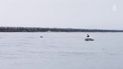 Dive Against Debris, Ocean Defenders' Mission to Save Marine Life Instructional Video