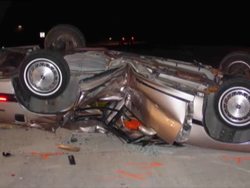 Healthy Nervous and Endocrine Systems: Caring for the Nervous System Instructional Video