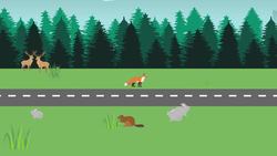 Human impacts on Biodiversity Instructional Video