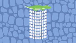 I WONDER - How Many Eggs Do Crocodiles Lay? Instructional Video