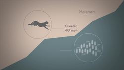 Seven Life Processes Instructional Video