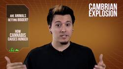 Animals Getting Bigger, and How Cannabis Causes Hunger Instructional Video