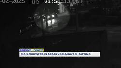 Brooklyn man arrested in connection to fatal shooting in The Bronx News Clip