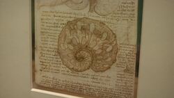 Newly-identified Da Vinci portrait on display at Buckingham Palace Instructional Video