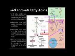 PUFAs: Polyunsaturated Fatty Acid Metabolism (DHA, EPA, AA) Instructional Video