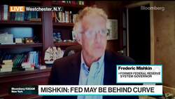 Mishkin: Fed Policy Is Hibernating, May Be Behind the Curve News Clip