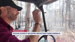 Local farms offer temporary shelter for animals impacted by Ocean County wildfire News Clip