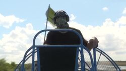 VOICED : El cambio climático amenaza el futuro de los Everglades, joya natural de Florida News Clip