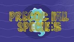 The Diverse World of Parenting: From Dogs to Seahorses Instructional Video