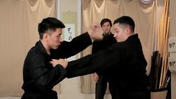 Fubuki from Kukishinden Ryu Advanced Ninjutsu Technique Instructional Video