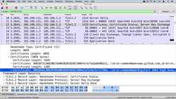 SSL Complete Guide 2021: HTTP to HTTPS - Exploring TLS Session with Our Website at Github.io - Part 2 Instructional Video