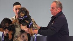 Servicemembers reunited with puppies they rescued overseas at Paws of War headquarters News Clip