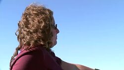 Beluga whale spotted in the Thames 'swimming strongly and feeding normally' Stock Footage