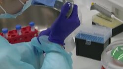 Lab technicians testing samples for Covid virus News Clip