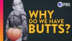A Brief (Scientific) History of Butts Instructional Video