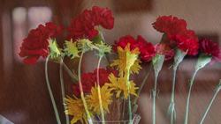 Ratios and Rates: What Is a Ratio? Instructional Video