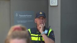 CLEAN : Farmers protest Netherlands plan to cut nitrogen emissions in front of Parliament News Clip