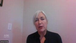 Some of B.C. Conservative shadow cabinet picks draw criticism News Clip