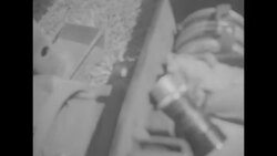 Pres. Eisenhower reviews a regiment of marines with Gen. Gates and Secretary of Defense Charles Erwin Wilson in Quantico, VA News Clip