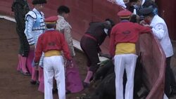 VOICED : Juez suspende indefinidamente las corridas de toros en mayor plaza de México News Clip