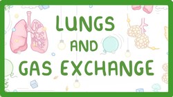 GCSE Biology - Gas Exchange and Lungs #26 Instructional Video