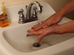 Hábitos saludables: limpieza e higiene Instructional Video