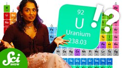 How Much of the Periodic Table is in YOU? Instructional Video