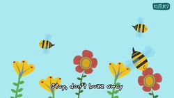 Insects and their movements Instructional Video