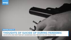 Thoughts Of Suicide Up During COVID-19 Pandemic News Clip