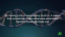 The Genetic Code Sucks. Let’s Do Better Instructional Video