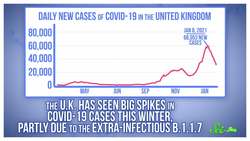We Know More About Those COVID-19 Variants. It's Not Great | SciShow News Instructional Video