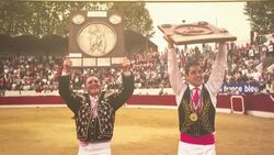 CLEAN : Show cattle breeders in France's Landes region hit hard hard as summer events cancelled News Clip