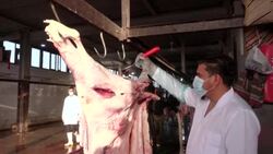 CLEAN : Iraqi vets examine meat after deadly nose-bleed fever cases surge News Clip