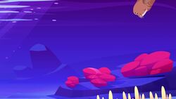 I WONDER - How Do Walruses Find Food? Instructional Video