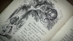 The Math of Alice in Wonderland Instructional Video