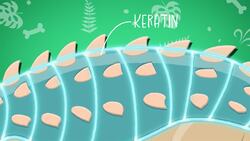 I WONDER - What Did The Ankylosaurus Look Like? Instructional Video