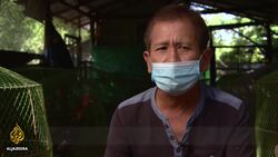 Global poultry industry on high alert after bird flu outbreaks News Clip