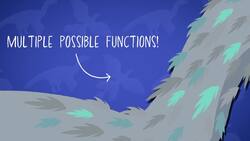 I WONDER - Why Did The Microraptor Have Feathers? Instructional Video