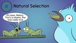 Evolution Instructional Video