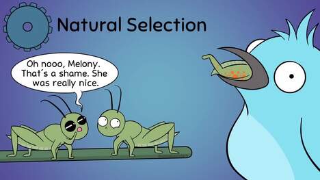 Evolution